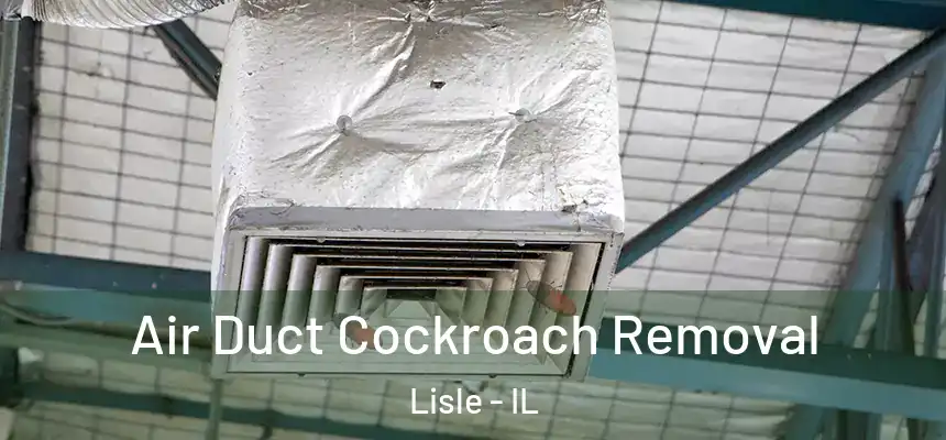  Air Duct Cockroach Removal Lisle - IL