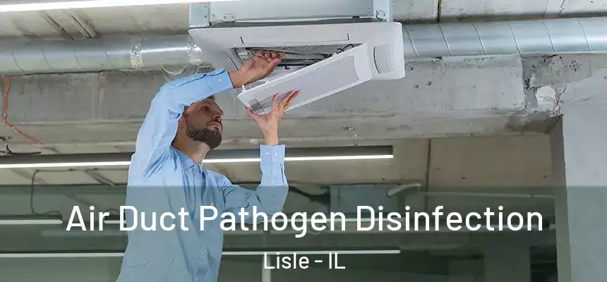 Air Duct Pathogen Disinfection Lisle - IL