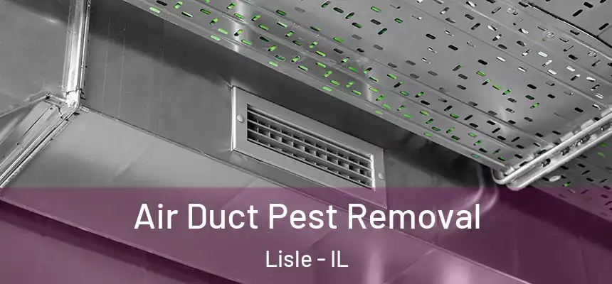  Air Duct Pest Removal Lisle - IL