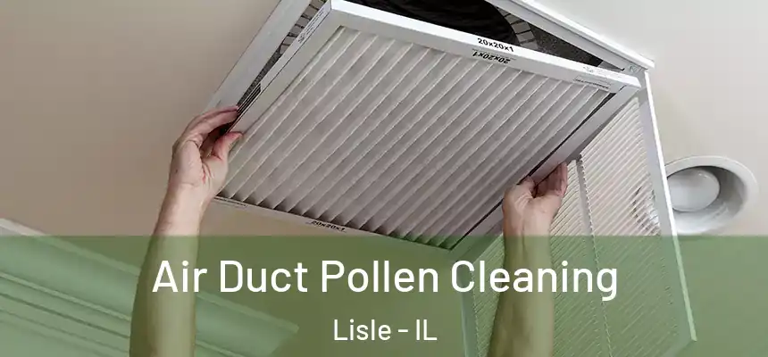  Air Duct Pollen Cleaning Lisle - IL