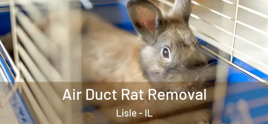 Air Duct Rat Removal Lisle - IL