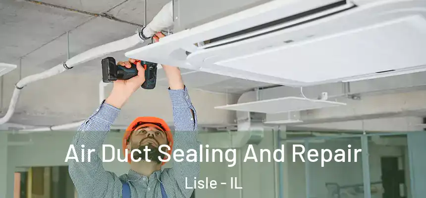  Air Duct Sealing And Repair Lisle - IL