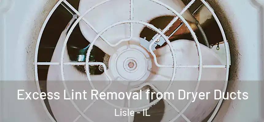  Excess Lint Removal from Dryer Ducts Lisle - IL