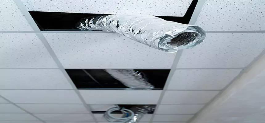 Affordable HVAC Sanitizing After Pest Removal in Lisle