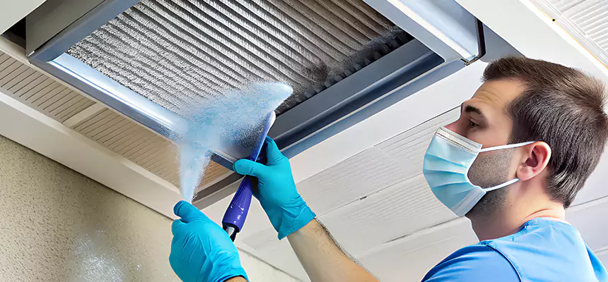 Proactive Dryer Vent & Auxiliary Duct Pollen Cleanup in Lisle, IL