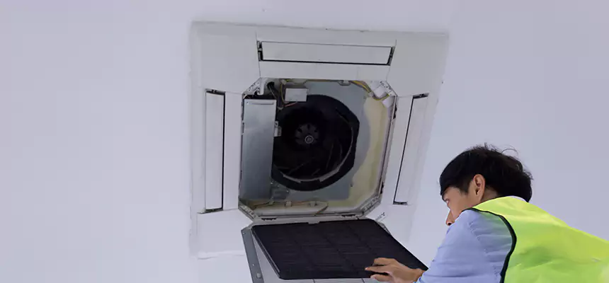 Our Dryer Vent Sanitization Service Services in Lisle, IL