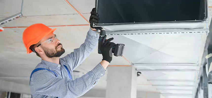 Roof Cap & Exterior Hood Lint Buildup Removal – Lisle