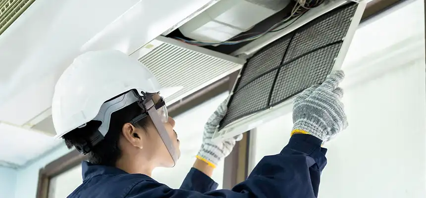 Our Lint Trap Cleaning Service Services in Lisle, IL