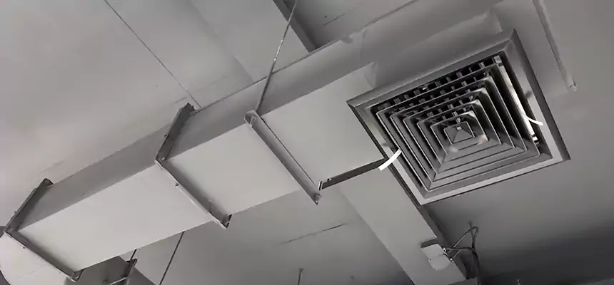 Our Pest Removal From Ducts Services in Lisle, IL