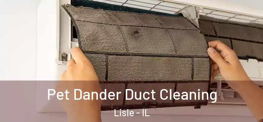 Pet Dander Duct Cleaning Lisle - IL