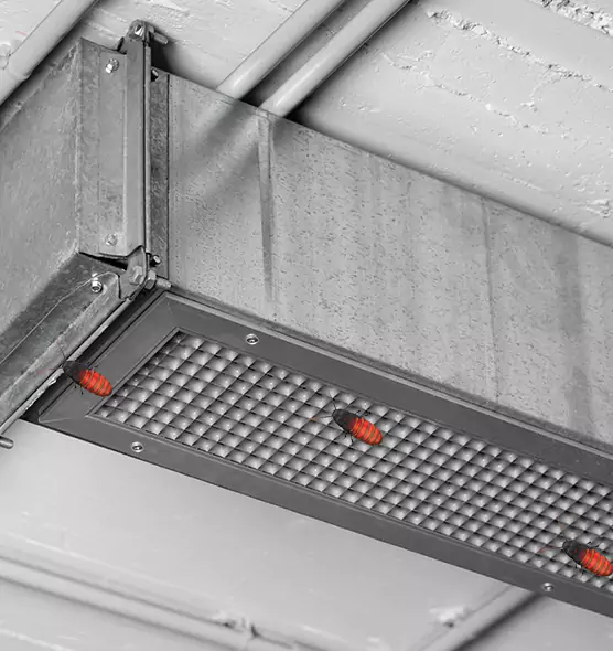 About Air Duct Cockroach Removal in Lisle, IL