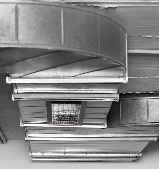 Professional Air Duct Pest Removal in Lisle, IL