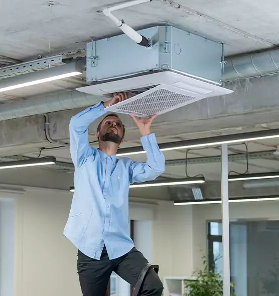 Advanced Rodent Droppings In Vents in Lisle, IL