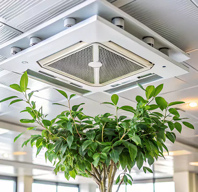 Why Homeowners & Businesses Trust Us in Lisle, IL?