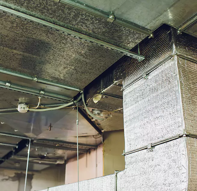 Why Homeowners & Businesses Trust Us in Lisle, IL?